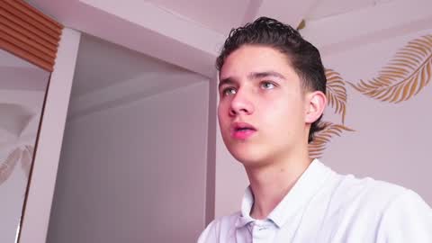 Snapshot of theohawke_ chatting on January 2025 01:49:01 PM THEO- MATEO online show from January 2025 01:49:01 PM