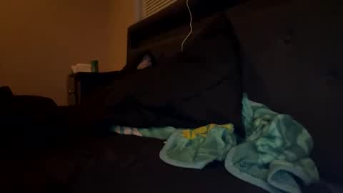 ThePipe online show from November 2025 02:06:01 AM