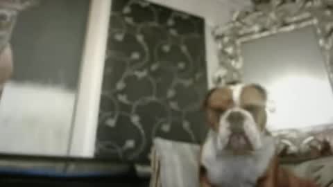 Snapshot of therealkurva4u chatting on February 2025 02:29:02 PM therealkurva4u online show from February 2025 02:29:02 PM