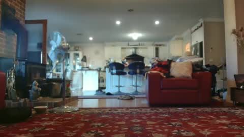 Snapshot of therealkurva4u chatting on February 2025 09:12:01 PM therealkurva4u online show from February 2025 09:12:01 PM