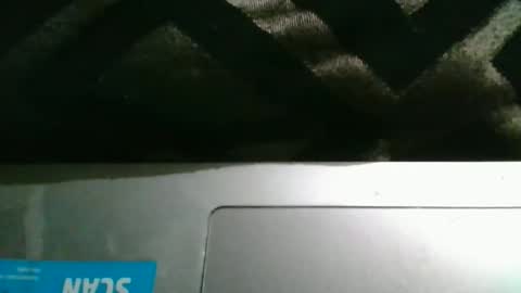 Snapshot of therealstackz69 chatting on March 2026 11:54:02 PM therealstackz69 online show from March 2026 11:54:02 PM