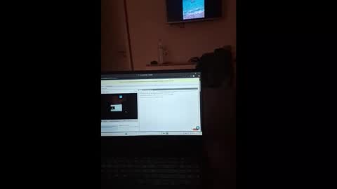 Snapshot of thesporttype chatting on November 2025 07:27:01 PM thesporttype online show from November 2025 07:27:01 PM