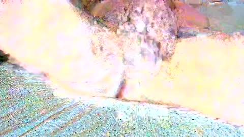 Snapshot of thetightestass14 chatting on February 2025 10:47:02 AM thetightestass14 online show from February 2025 10:47:02 AM