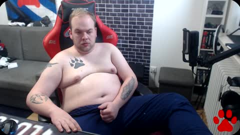 PupWolfy online show from December 2024 12:31:01 PM