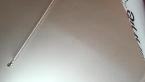 thickcock4ever online show from February 2026 08:49:02 PM