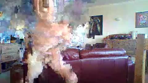 Thickcockat71 online show from May 2026 09:44:02 PM