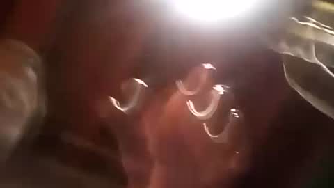 thickdick513 online show from December 2024 01:10:02 PM