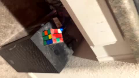 Thiccccc online show from March 2025 08:08:01 AM