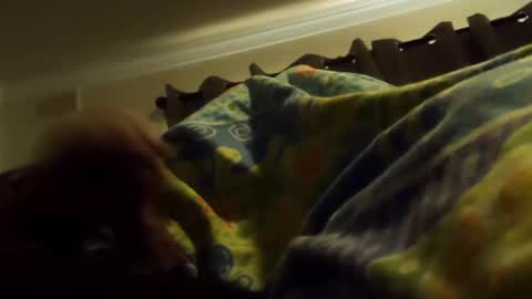 thisbloke96 online show from February 2026 04:38:01 AM