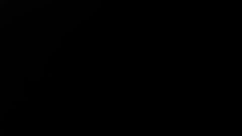 Mister  online show from February 2025 09:30:01 AM