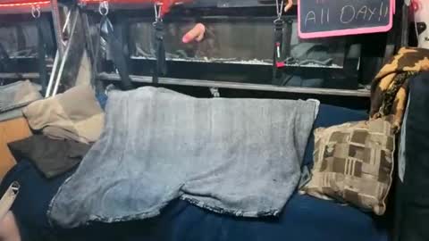 bw ky cock online show from June 2026 08:42:02 AM