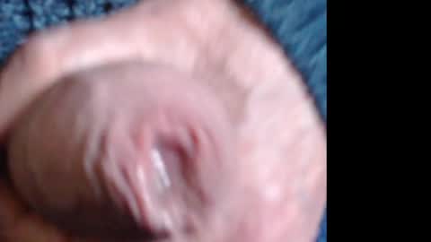 threephase323 online show from April 2026 06:34:02 PM