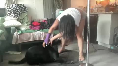 Snapshot of throatyygoat chatting on September 2025 08:33:02 PM throatyygoat online show from September 2025 08:33:02 PM