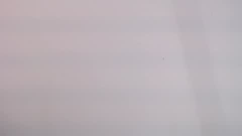 tihana online show from December 2024 09:56:01 AM