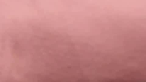 tibustream online show from April 2026 09:50:02 PM