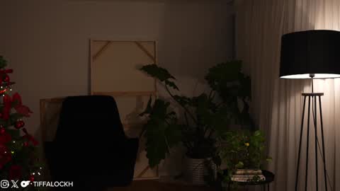 Tifa online show from December 2024 11:47:01 PM