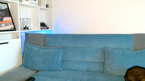 tiff online show from April 2026 03:13:01 PM