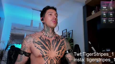 Snapshot of tigerstripes_ chatting on February 2025 04:40:01 AM Chris online show from February 2025 04:40:01 AM