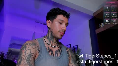 Snapshot of tigerstripes_ chatting on March 2025 01:47:02 AM Chris online show from March 2025 01:47:02 AM