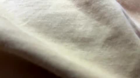 timber2255 online show from October 2025 02:07:01 PM