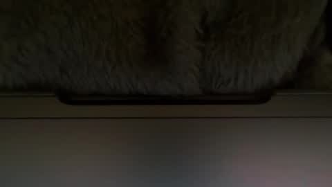 Timplaw online show from February 2025 01:20:01 PM