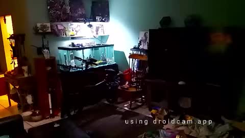 tinalover4u2 online show from November 2025 06:35:01 PM