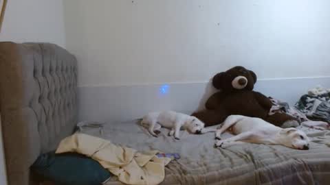 tini_mix206927 online show from April 2026 08:31:02 PM