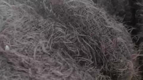 tinyslut66 online show from March 2026 09:43:02 AM