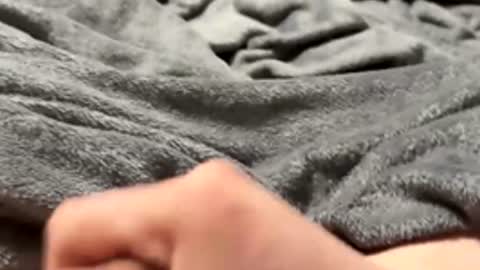 tmue online show from February 2026 02:58:02 PM