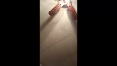 Vols online show from February 2026 12:54:02 PM