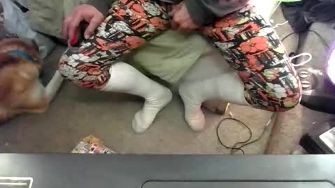 to69isdevine online show from April 2026 01:49:01 PM