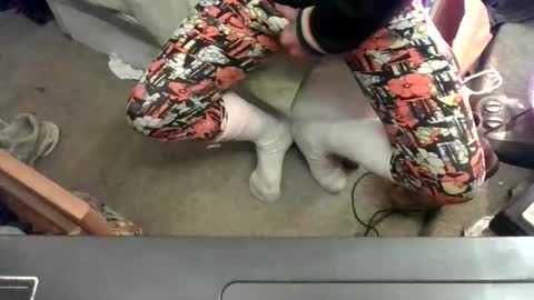 to69isdevine online show from April 2026 10:30:01 AM