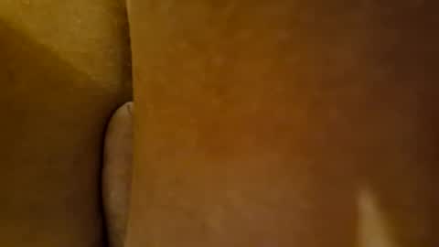 Toady online show from December 2024 03:55:01 PM