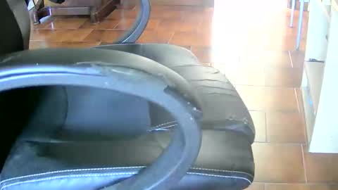 Tobiko online show from April 2026 02:26:01 PM