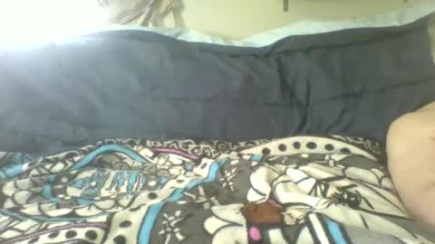 toddhaven4u online show from April 2026 01:08:02 PM