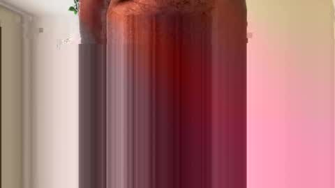 toddmacg online show from November 2025 05:35:02 PM