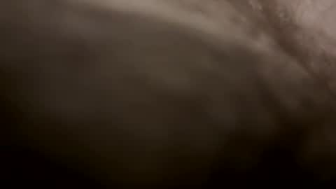 toesturnmeon online show from October 2025 07:29:01 AM