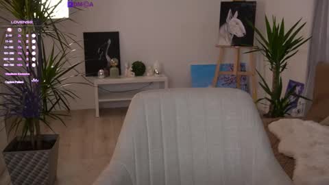 TOKKYYO online show from November 2025 04:53:01 PM