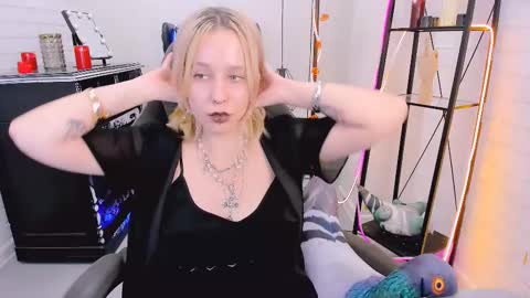 Tolli Moll online show from December 2024 12:16:02 PM