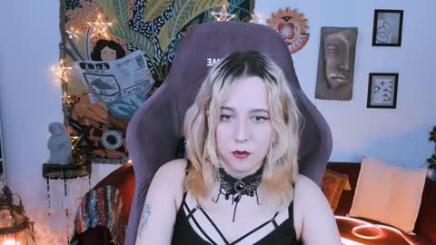 Tolli Moll online show from January 2025 11:49:01 AM