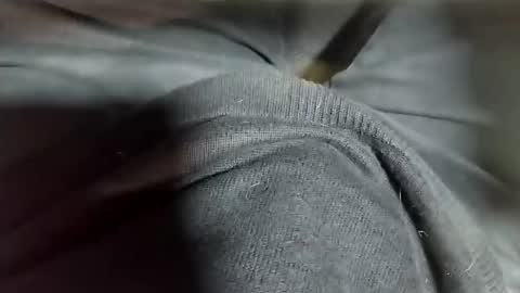 Snapshot of tomas_cum69 chatting on February 2025 10:37:01 PM Tomas online show from February 2025 10:37:01 PM