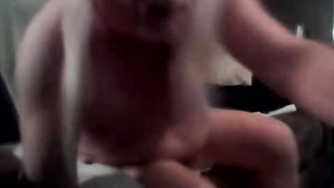 tommythayer2112 online show from December 2025 03:50:02 PM