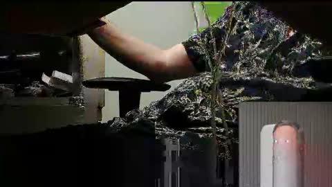 tontin69 online show from March 2026 12:12:01 AM