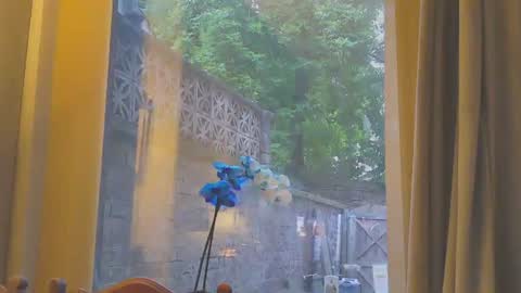 toohorny3210 online show from June 2026 08:11:02 PM