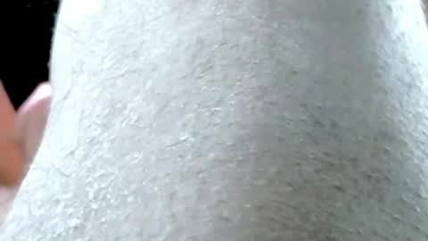 tornne online show from March 2026 09:31:01 PM