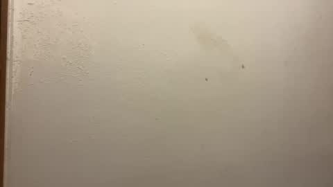 toronto5656 online show from February 2025 03:20:01 PM