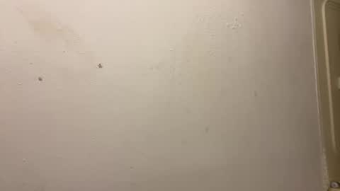 toronto5656 online show from March 2025 03:31:01 PM