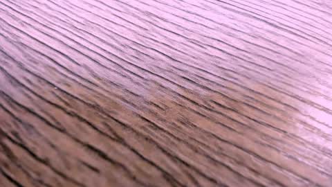 toshi_dakxxx online show from April 2026 01:31:01 PM