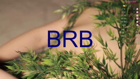 Toshi online show from January 2025 04:11:01 PM