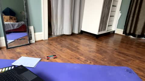 toxiclayne online show from April 2026 02:33:01 PM